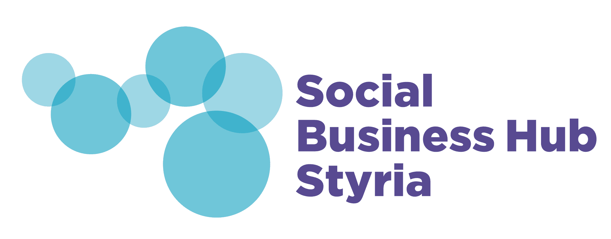 Social Business Hub Styria